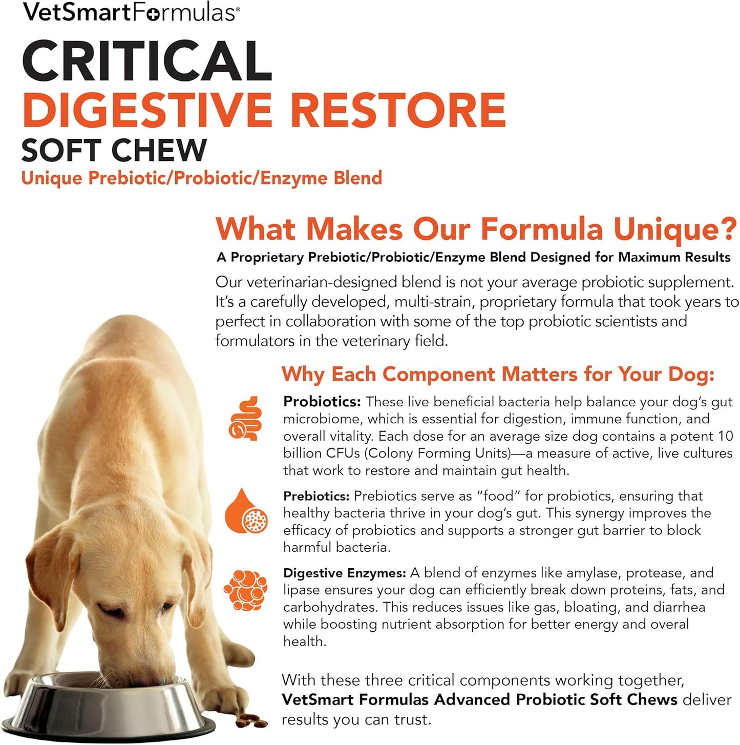 Critical Digestive Restore for Dogs